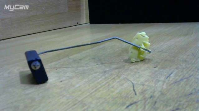 thumb