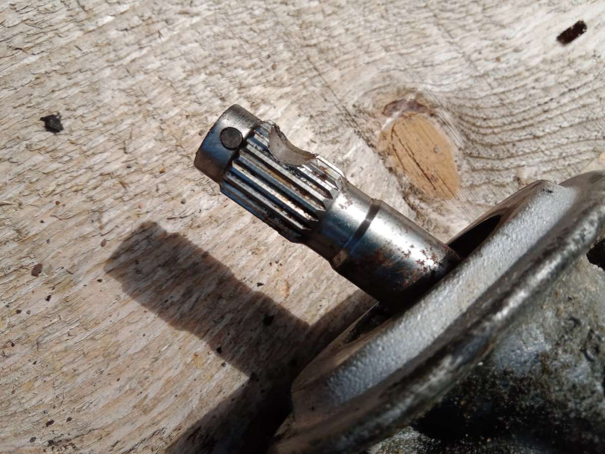 thumb