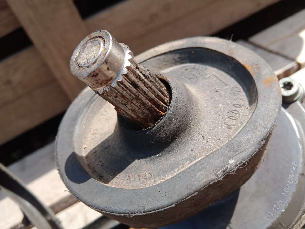 thumb