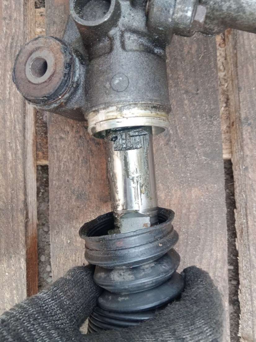 thumb